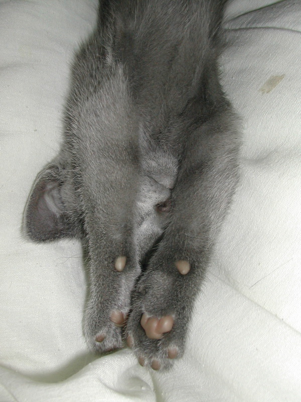 DSCN3421.JPG