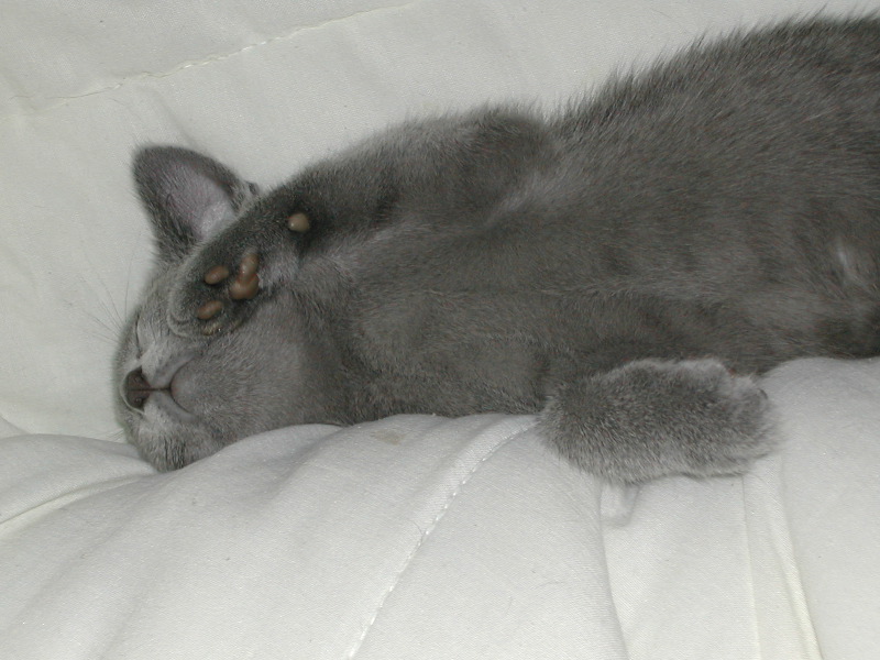 DSCN3416.JPG