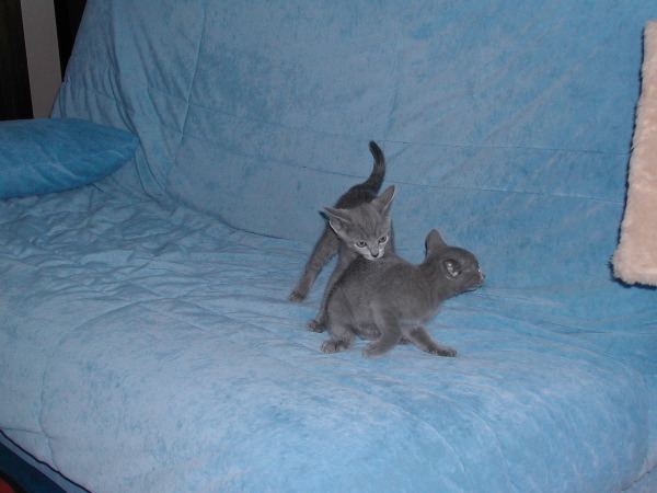 DSCN3431.JPG