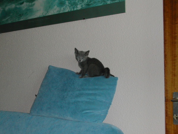 DSCN3429.JPG
