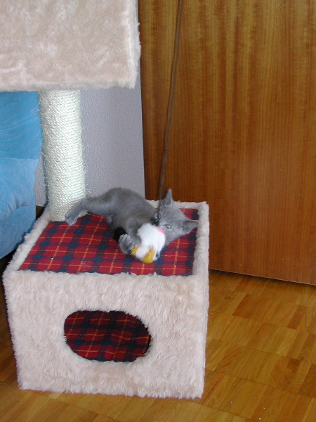 DSCN3427.JPG