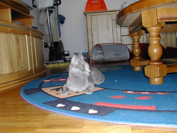 DSCN3426.JPG