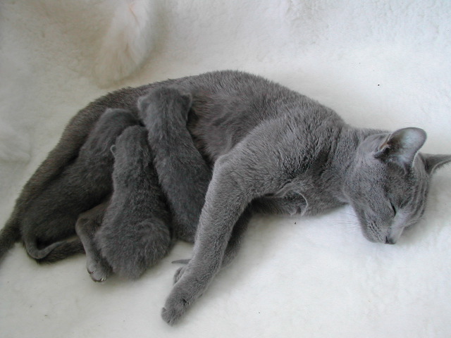 DSCN3072.JPG