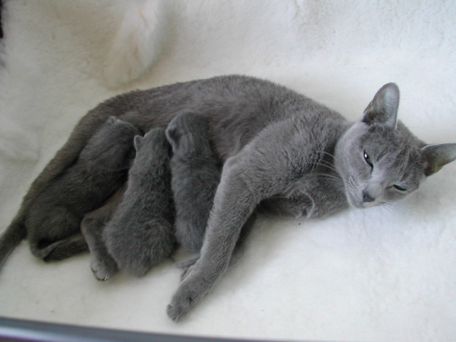 DSCN3070.JPG