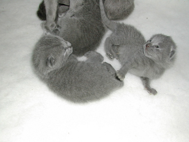 DSCN3045.JPG