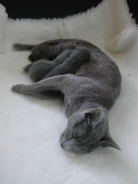 DSCN3069.JPG