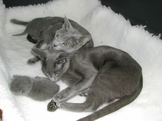 DSCN3064.JPG