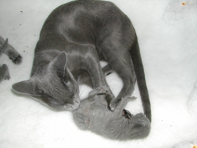 DSCN3063.JPG