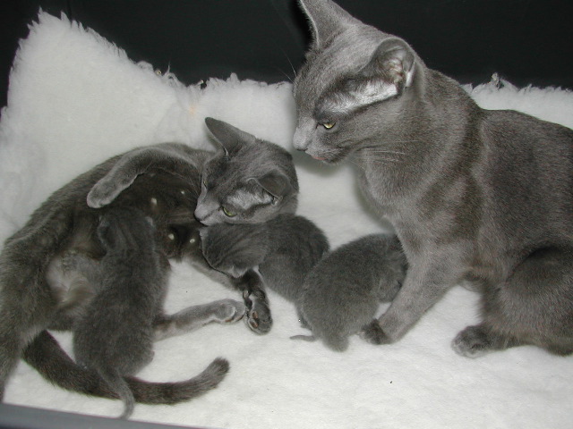 DSCN3060.JPG