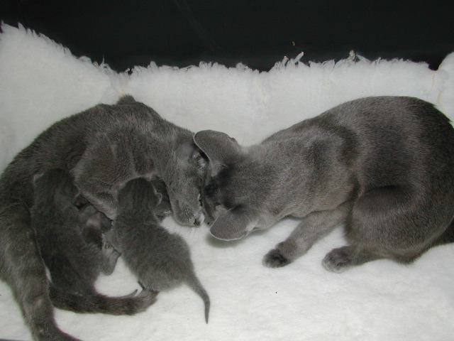 DSCN3058.JPG
