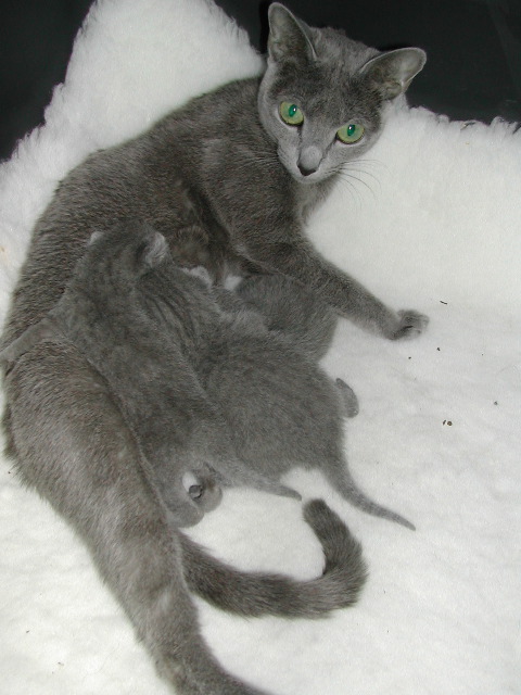 DSCN3056.JPG