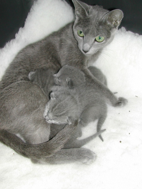 DSCN3055.JPG