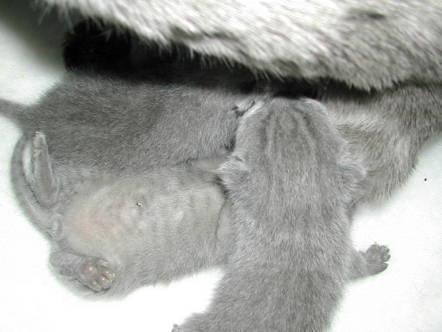 DSCN3046.JPG