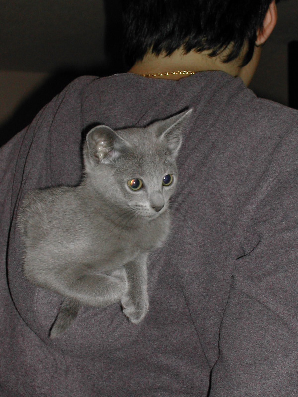 DSCN3519.JPG
