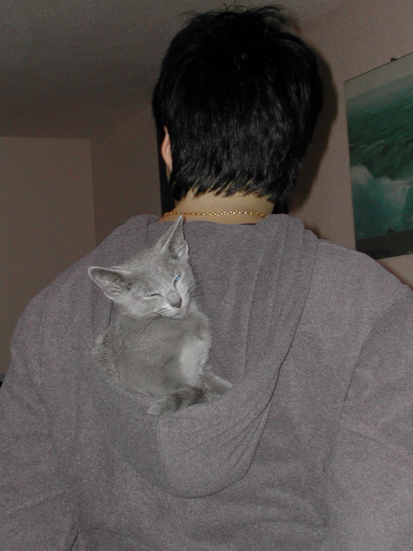 DSCN3521.JPG