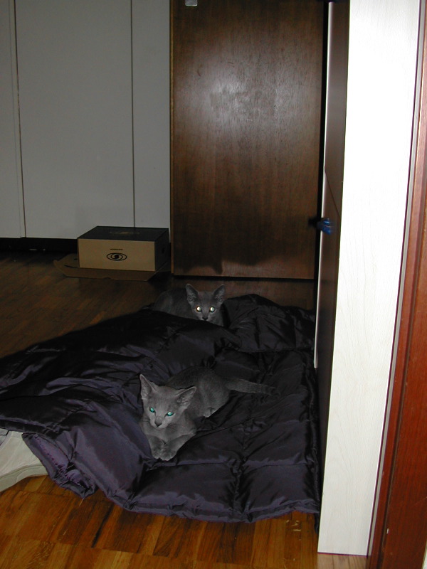 DSCN3522.JPG