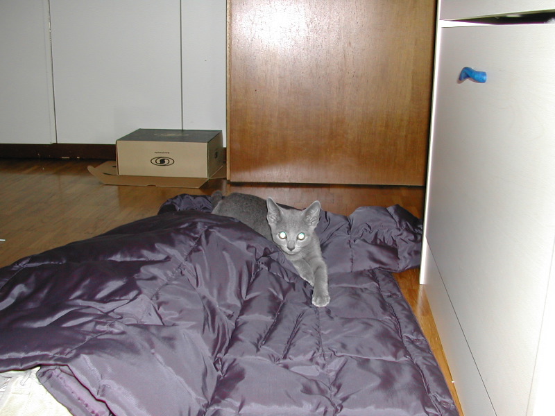 DSCN3523.JPG