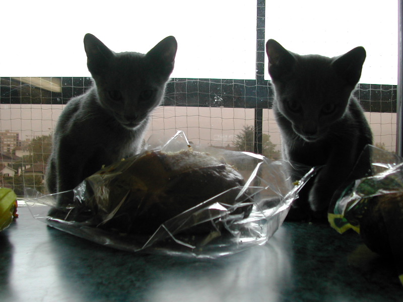 DSCN3549.JPG