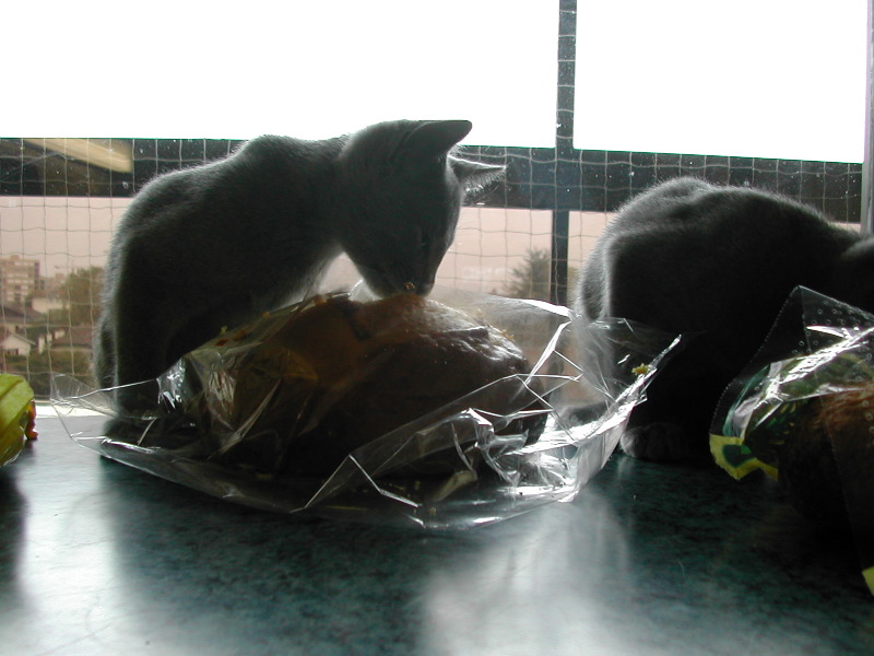 DSCN3551.JPG