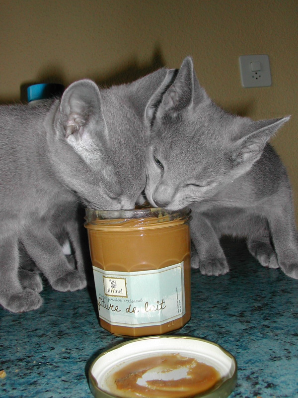 DSCN3554.JPG