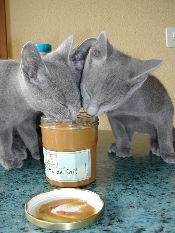 DSCN3555.JPG