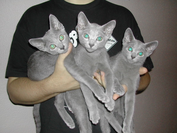 DSCN3561.JPG