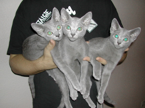 DSCN3563.JPG