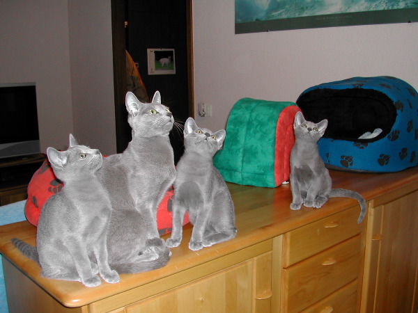 DSCN3564.JPG