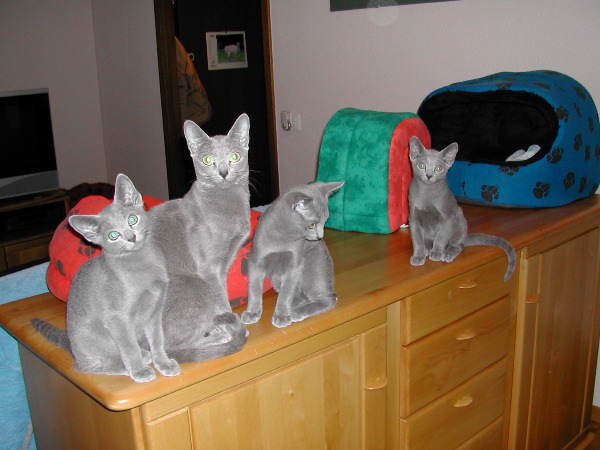 DSCN3565.JPG