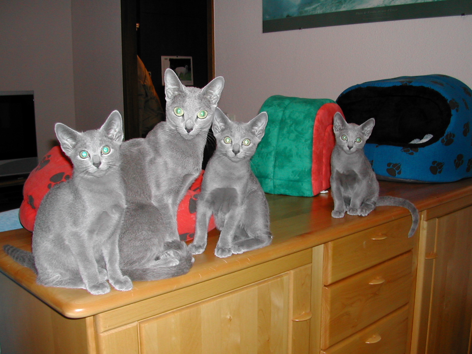 DSCN3567.JPG