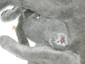 DSCN2976.JPG