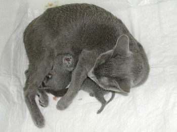 DSCN2975.JPG