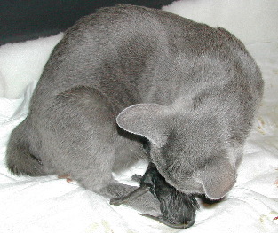 DSCN2958.JPG