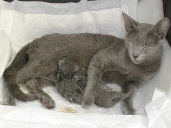 DSCN2973.JPG