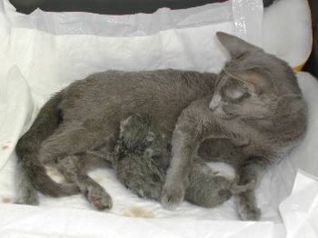 DSCN2972.JPG