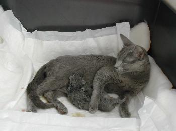 DSCN2971.JPG