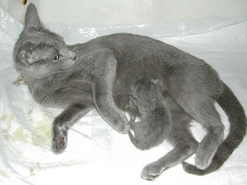 DSCN2962.JPG