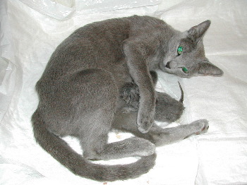 DSCN2961.JPG
