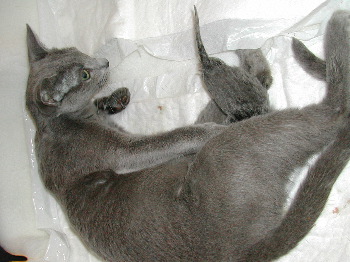 DSCN2960.JPG