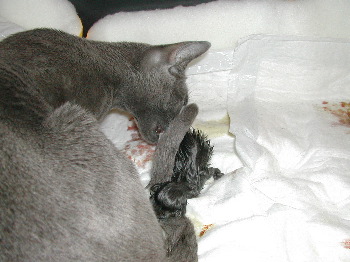DSCN2959.JPG