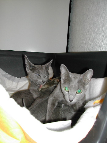 DSCN2995.JPG