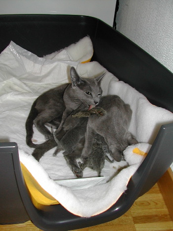 DSCN2994.JPG