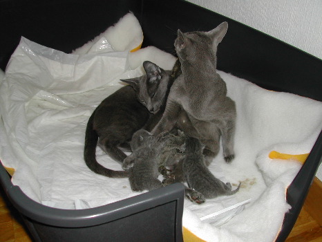 DSCN2992.JPG