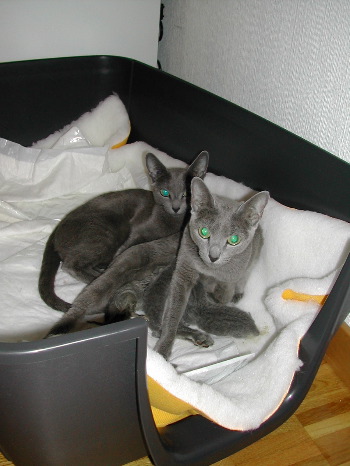 DSCN2991.JPG
