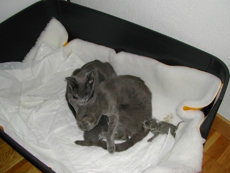 DSCN2987.JPG