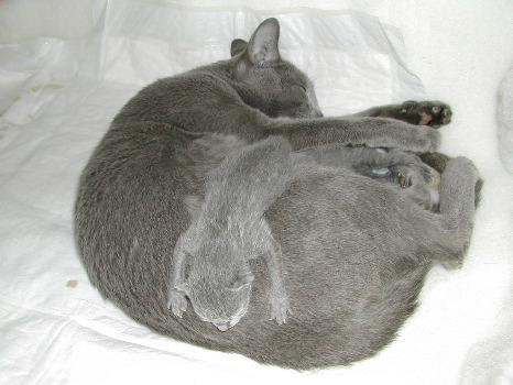DSCN2982.JPG