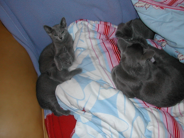 DSCN5477.JPG