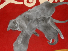 DSCN5468.JPG