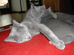 DSCN5471.JPG