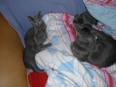 DSCN5477.JPG